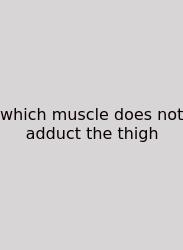 Which Muscle Does Not Adduct The Thigh