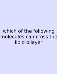 Which Of The Following Molecules Can Cross The Lipid Bilayer