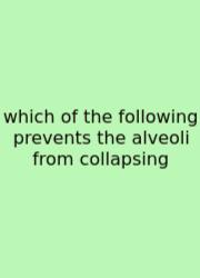 Which Of The Following Prevents The Alveoli From Collapsing